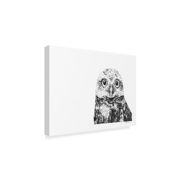 Let Your Art Soar 'Owl Line Art' Canvas Art,14x19